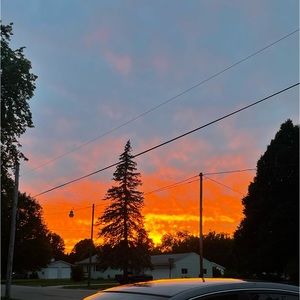 Meet your Posher, Kyra